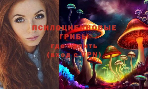 соль курить ск Алзамай